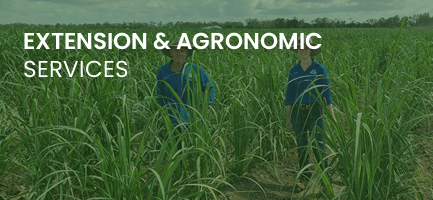 Extension and Agronomic Services
