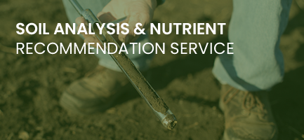 Soil Analysis and Nutrient Recommendation Service