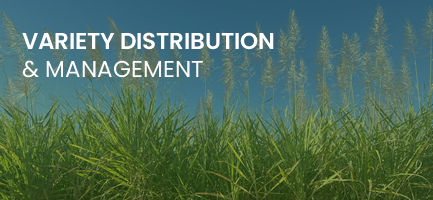 Variety Distribution and Managment